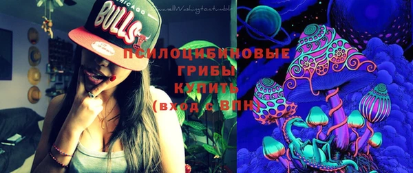 Альфа ПВП Медногорск