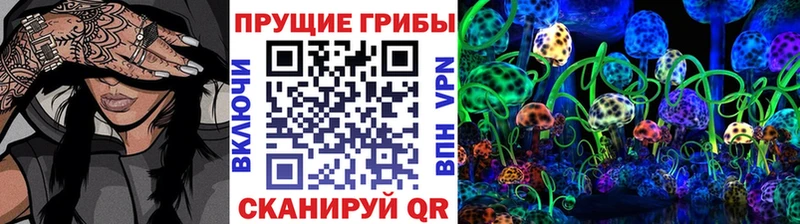 Псилоцибиновые грибы GOLDEN TEACHER  даркнет сайт  Майкоп 