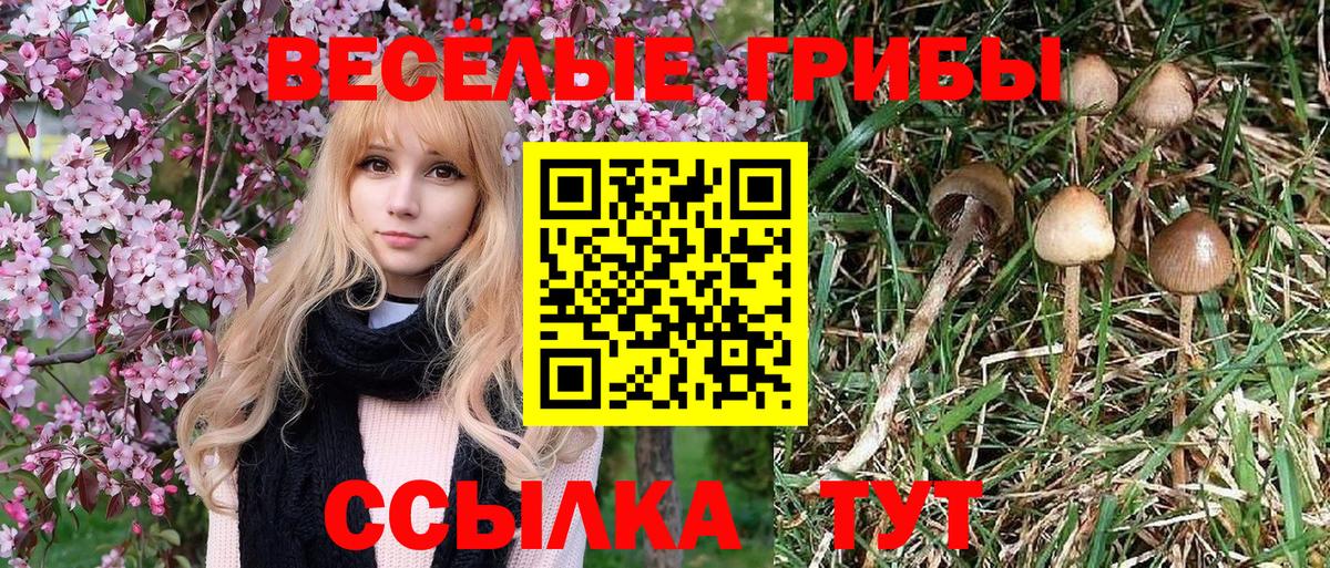 Галлюциногенные грибы ЛСД Майкоп