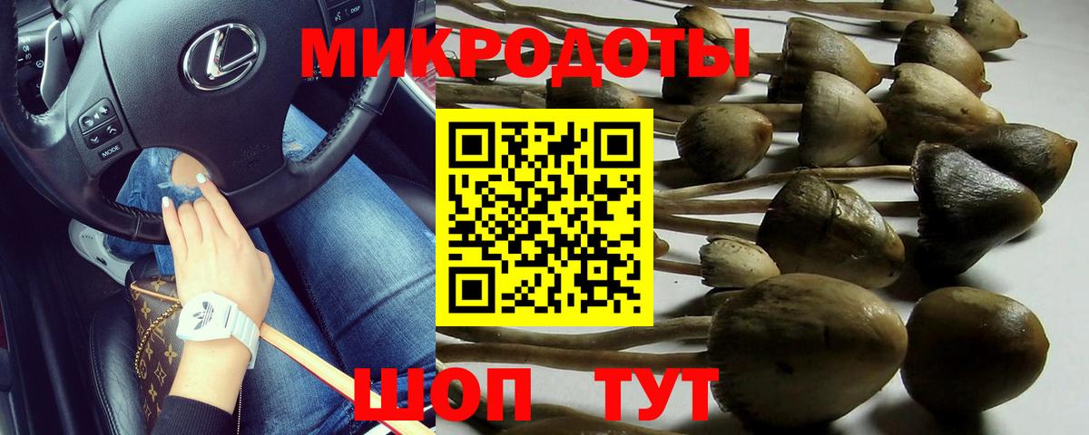 Галлюциногенные грибы GOLDEN TEACHER  Майкоп  Галлюциногенные грибы прущие грибы 