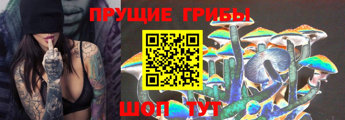 Галлюциногенные грибы ЛСД  Вход с VPN  Майкоп  Галлюциногенные грибы ЛСД 