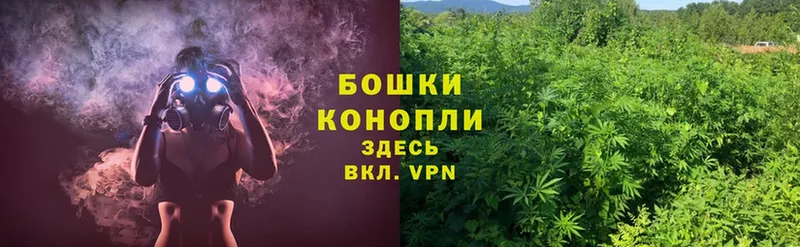 Бошки марихуана Ganja  где купить   Майкоп 